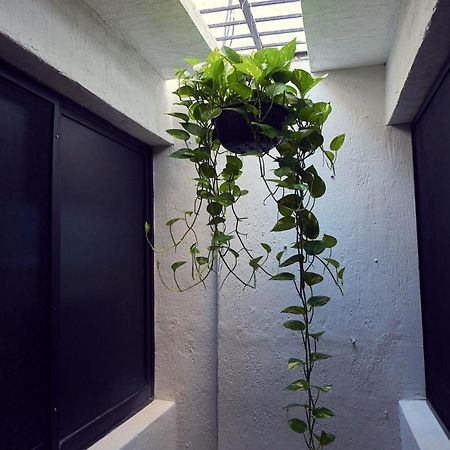 Hostal Ixchel - Wifi, Hot Water, Ac, In Valladolid Downtown Екстер'єр фото