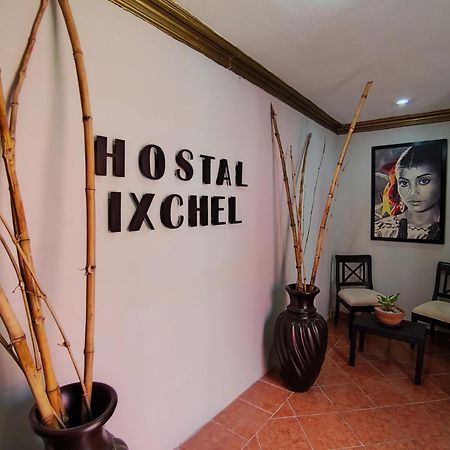 Hostal Ixchel - Wifi, Hot Water, Ac, In Valladolid Downtown Екстер'єр фото